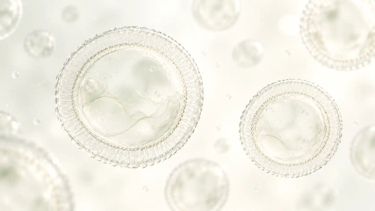 An introduction to exosome skincare